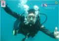 Paquete combinado de Buceo y Tour Diario