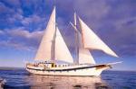 M/S Diamante