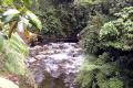 Excursión a Mindo Ecoturismo y Aventura (2 días)